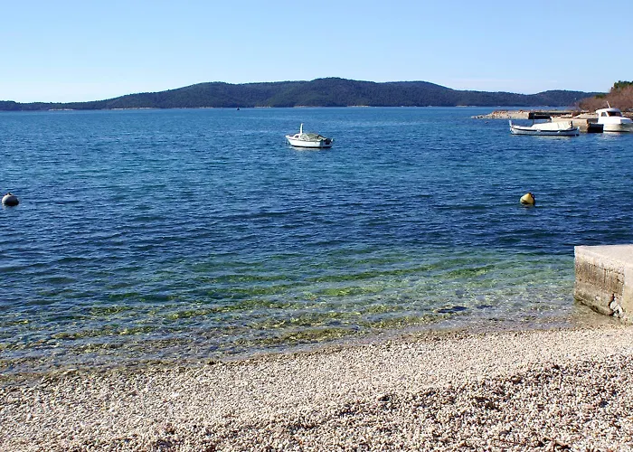 With Swimming Pool Brodarica, Sibenik - 25027 Apartman